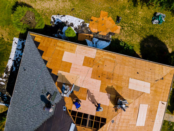 Best Roof Maintenance Services  in Buchanan, NY